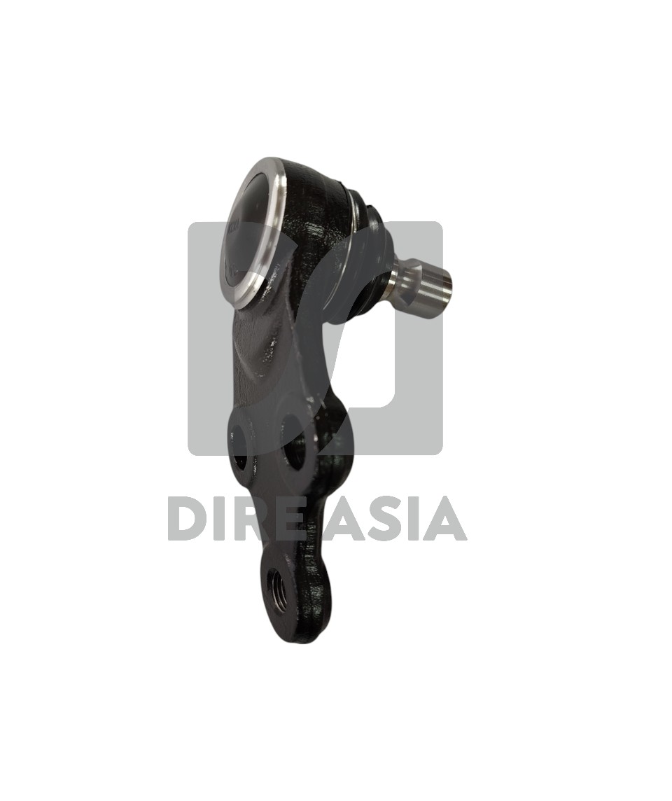 MUÑON SPORTAGE-CARNIVAL-Photoroom